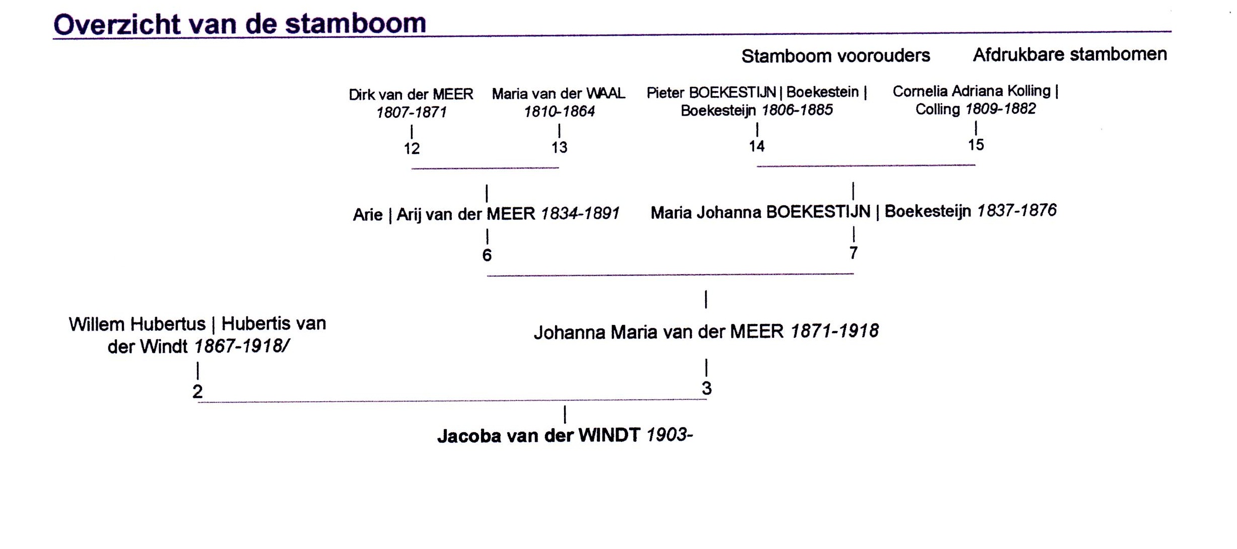 1903-10-20 Overzicht Stamboom Jacoba (Co) van der Windt